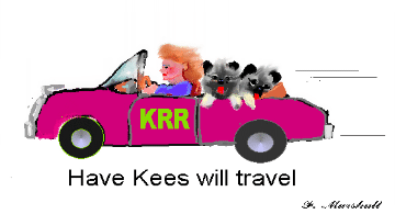 Kees in car